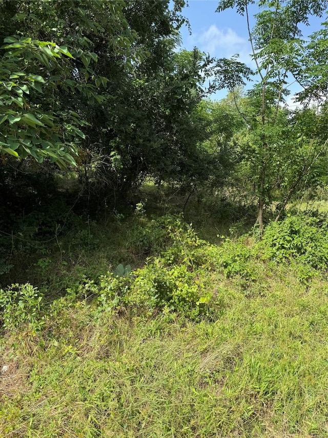 1005 Henderson St, Cameron, TX 76520