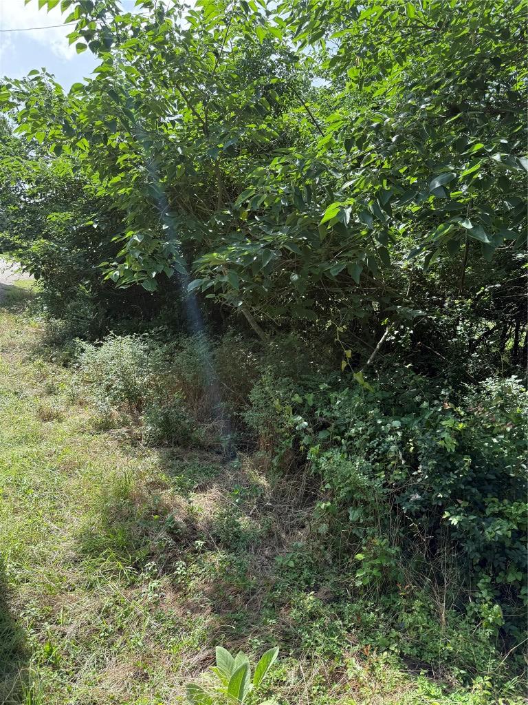 1005 Henderson St, Cameron, TX 76520
