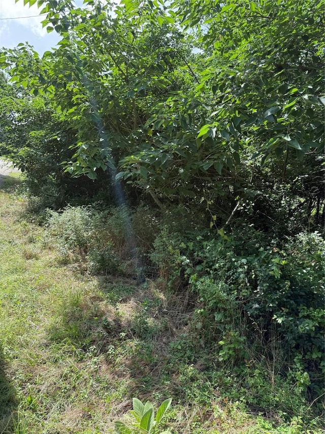 1005 Henderson St, Cameron, TX 76520