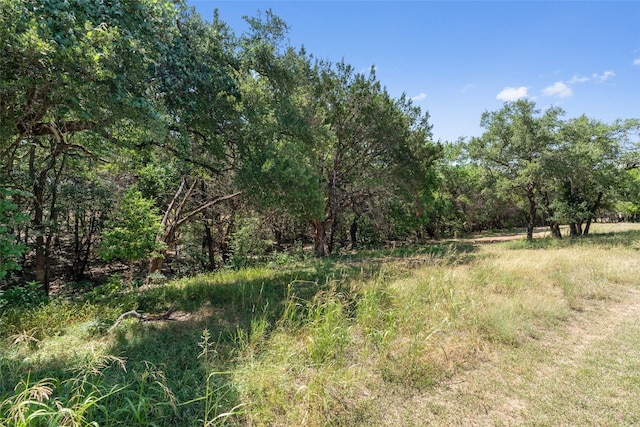 3011 Wadsworth Way, Austin, TX 78748 - photo 35