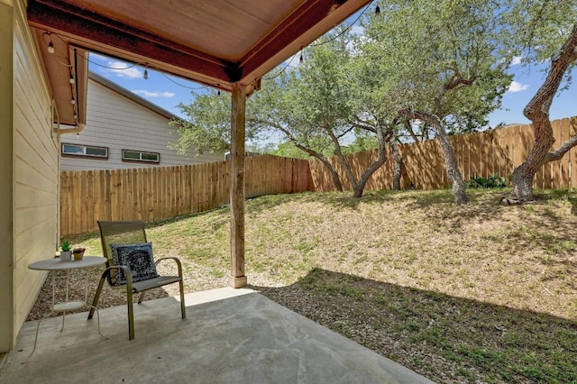 10129 Longhorn Skwy, Dripping Springs, TX 78620 - fenced backyard featuring a patio