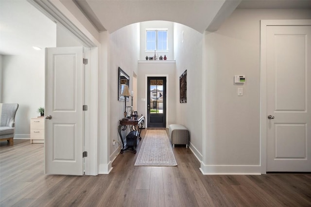 1113 Spring Gulch Ln, Georgetown, TX 78628 - entryway featuring arched walkways, plenty of natural light, and wood finished floors
