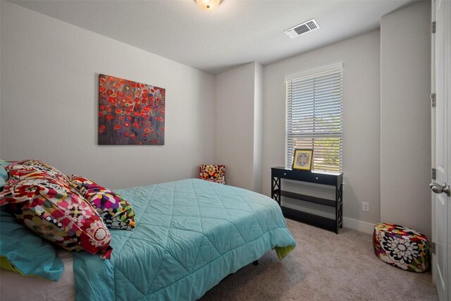 1113 Spring Gulch Ln, Georgetown, TX 78628 - bedroom featuring carpet