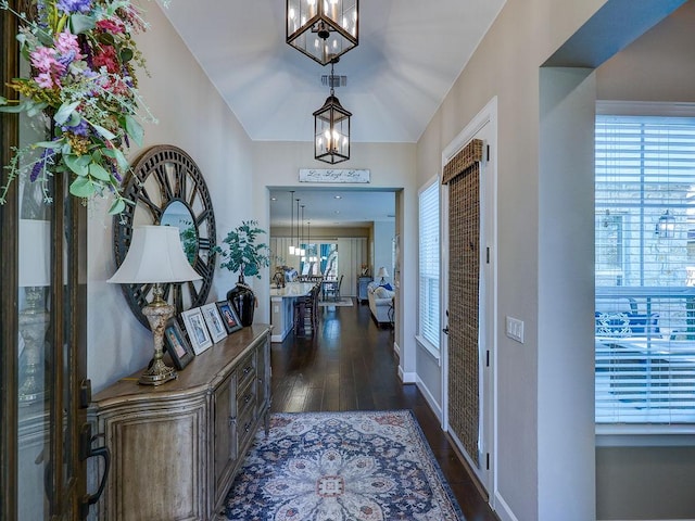 217 Skipping Cedar St, San Marcos, TX 78666 - entryway with a chandelier, dark wood-type flooring, and healthy amount of natural light