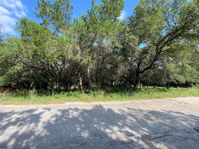 1401 Sharps Rd, Austin, TX 78734