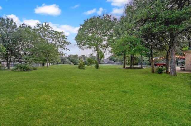 2802 Brandy Ln, Georgetown, TX 78628 - view of yard