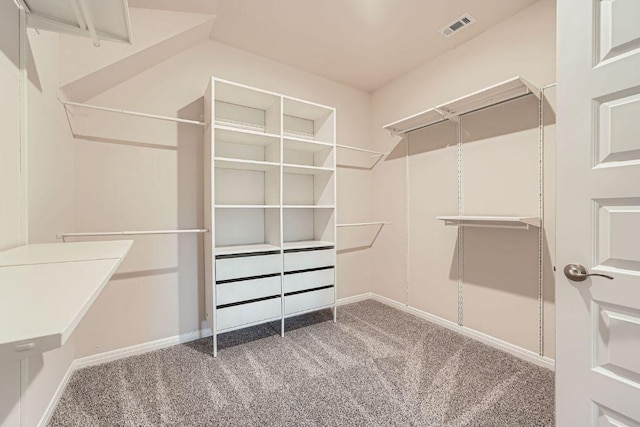 2871 Mill Run Bnd, Round Rock, TX 78665 - walk in closet with carpet floors