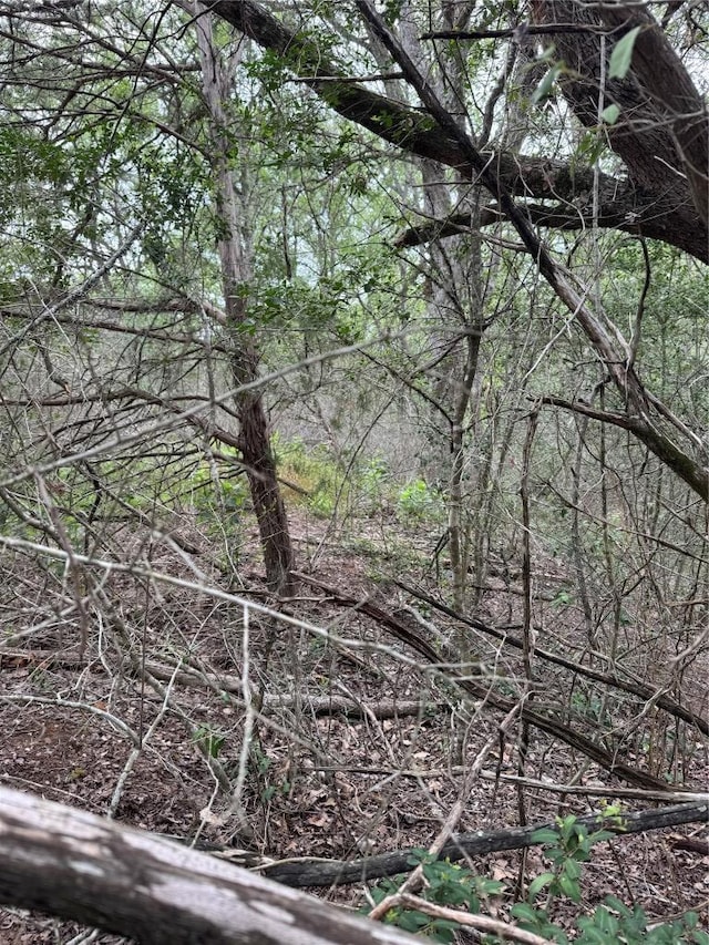LOT1034 Kawainui Dr, Bastrop, TX 78602