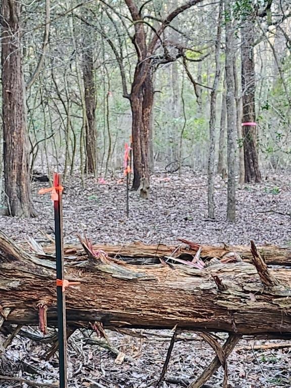 TBD-LOT1304 Hanauma Dr, Bastrop, TX 78602