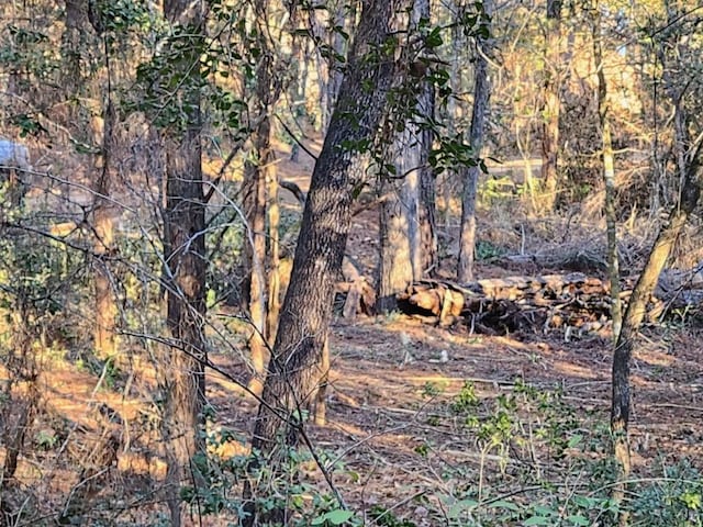 TBD-LOT1304 Hanauma Dr, Bastrop, TX 78602