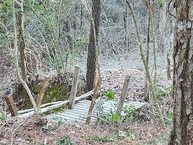 TBD-LOT1304 Hanauma Dr, Bastrop, TX 78602