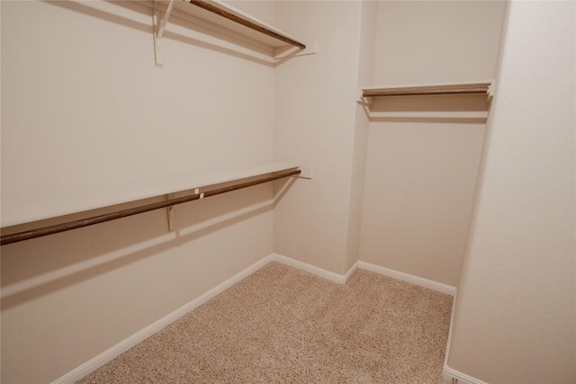 11612 Yeadon Way, Austin, TX 78717 - walk in closet featuring carpet floors