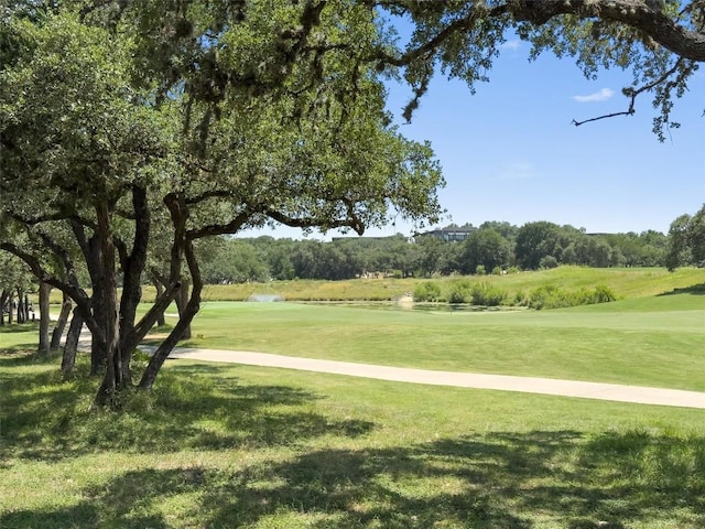 233 Leaping Holly St, San Marcos, TX 78666 - photo 4