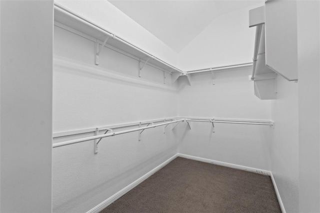 12221 Fairway Cv, Austin, TX 78732 - walk in closet with dark colored carpet and lofted ceiling