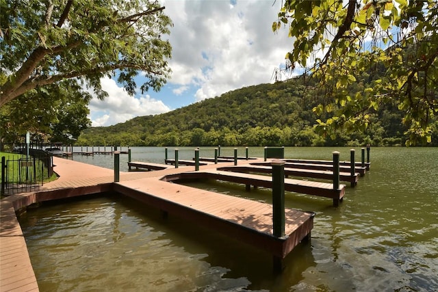 12221 Fairway Cv, Austin, TX 78732 - dock featuring a view of trees and a water view