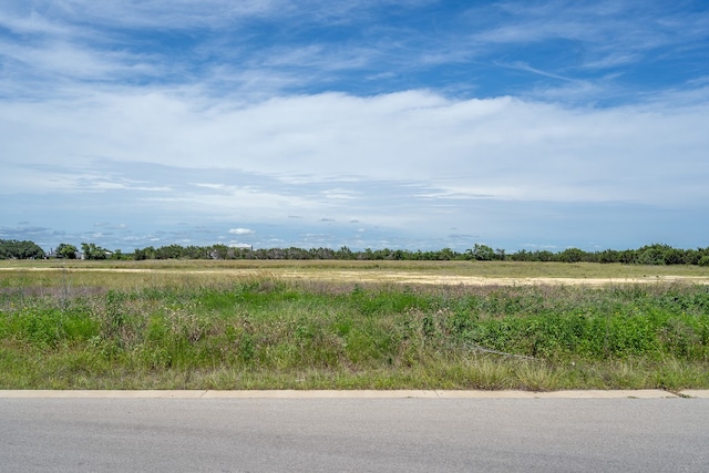 200 Yellow Senna Pl, Liberty Hill, TX 78642 - photo 2