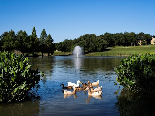 139 Merion Dr, Austin, TX 78737 - water view