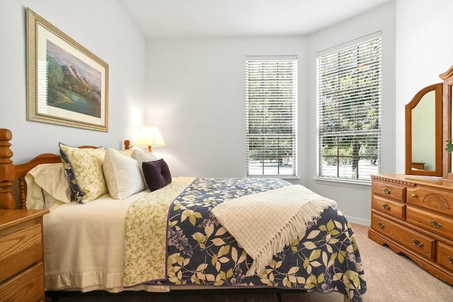 139 Merion Dr, Austin, TX 78737 - bedroom with light carpet and multiple windows