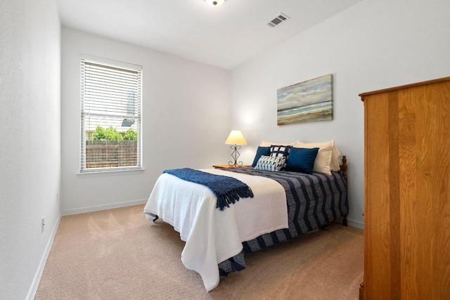 139 Merion Dr, Austin, TX 78737 - bedroom featuring carpet flooring and baseboards