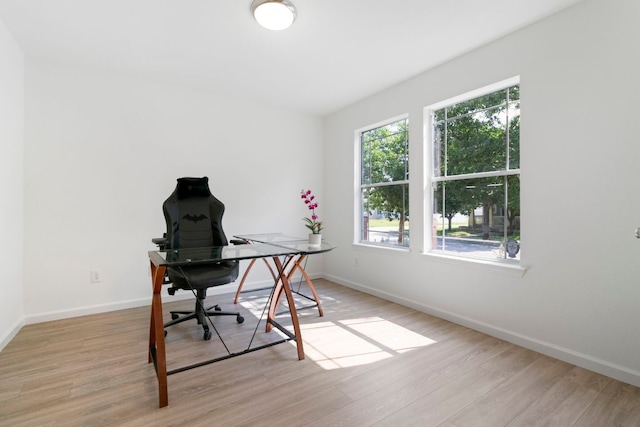 1431 Davis Mountain Loop, Cedar Park, TX 78613 - office with light wood-type flooring and baseboards