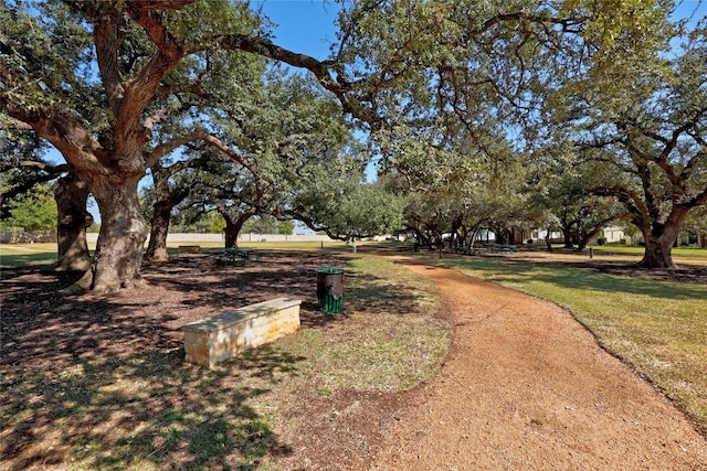 1431 Davis Mountain Loop, Cedar Park, TX 78613 - view of community