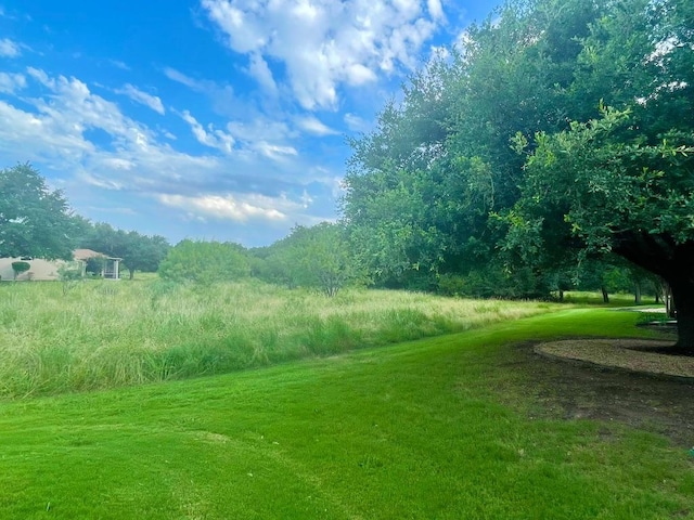 209 Crockett Loop, Georgetown, TX 78633 - view of green lawn