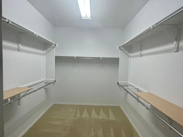 209 Crockett Loop, Georgetown, TX 78633 - walk in closet featuring carpet