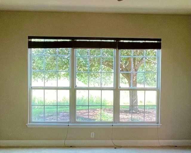 209 Crockett Loop, Georgetown, TX 78633 - detailed view of baseboards