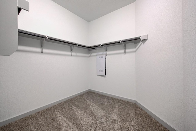 228 Tequilana Pass, Leander, TX 78641 - walk in closet featuring carpet and electric panel
