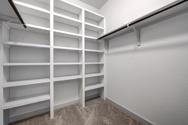 228 Tequilana Pass, Leander, TX 78641 - spacious closet featuring carpet
