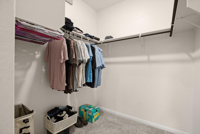 649 Otto Ave, Georgetown, TX 78626 - walk in closet featuring carpet