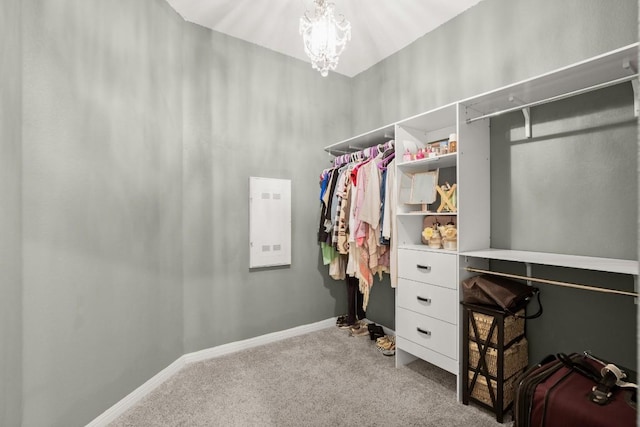 649 Otto Ave, Georgetown, TX 78626 - walk in closet with carpet flooring and a chandelier
