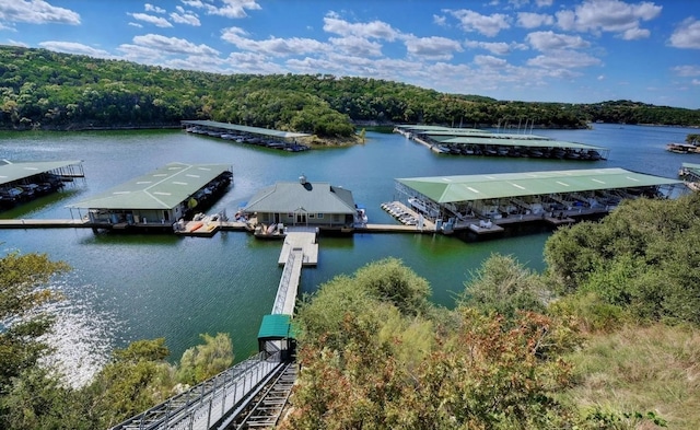963 Tomichi Trl, Lakeway, TX 78738 - drone / aerial view of a nearby body of water and a forest