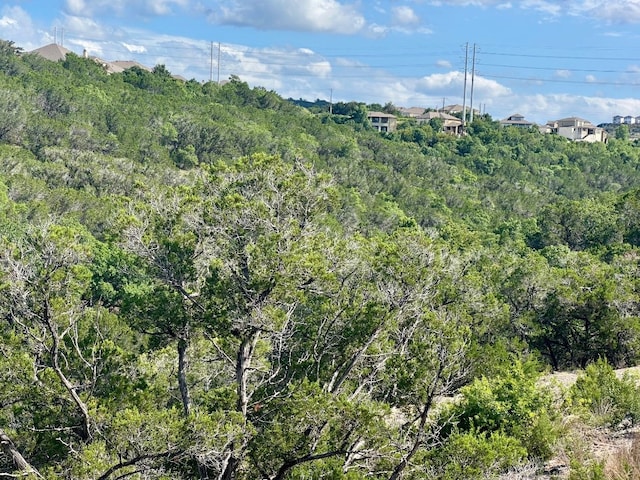 963 Tomichi Trl, Lakeway, TX 78738 - view of wooded area