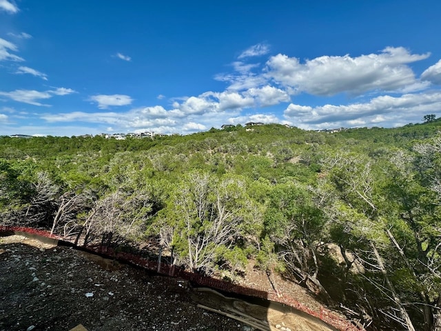963 Tomichi Trl, Lakeway, TX 78738 - view of tree filled area