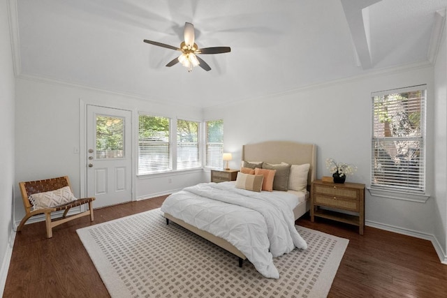 11305 Deputy Dr, Austin, TX 78748 - bedroom with crown molding, wood finished floors, and a ceiling fan