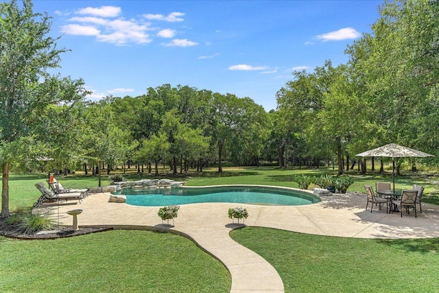 280 Whitney Run, Buda, TX 78610 - swimming pool with a patio, a lawn, and view of scattered trees