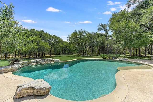 280 Whitney Run, Buda, TX 78610 - swimming pool with view of wooded area