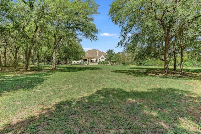 280 Whitney Run, Buda, TX 78610 - view of grassy yard