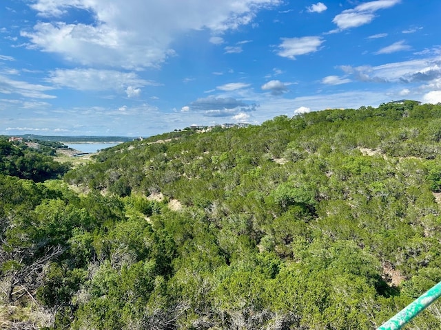971 Tomichi Trl, Lakeway, TX 78738 - photo 5