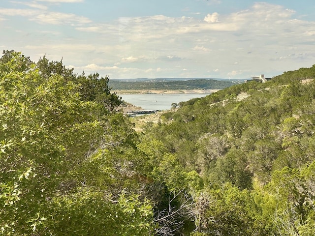 971 Tomichi Trl, Lakeway, TX 78738 - photo 7