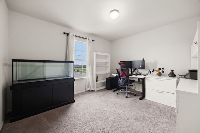 12000 Kincardine Way, Austin, TX 78754 - home office with carpet and baseboards