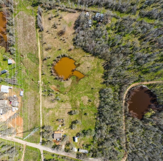 175 Settlers Trl, Elgin, TX 78621 - bird's eye view of a large body of water