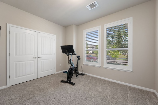8713 Alderman Dr, Austin, TX 78747 - exercise room featuring carpet and baseboards