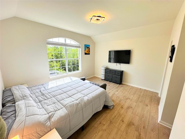 12504 Gun Metal Dr, Austin, TX 78739 - bedroom featuring lofted ceiling and light wood-style flooring