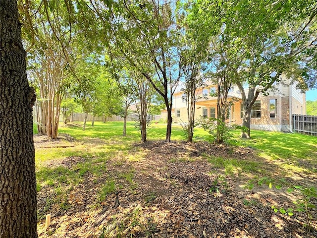 12504 Gun Metal Dr, Austin, TX 78739 - view of yard