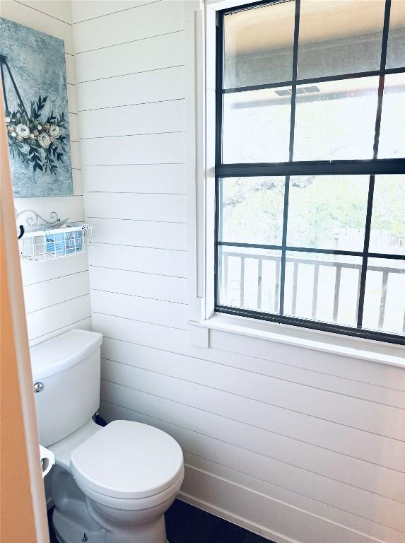 4204 Deer Tract St, Round Rock, TX 78681 - bathroom featuring plenty of natural light and wooden walls
