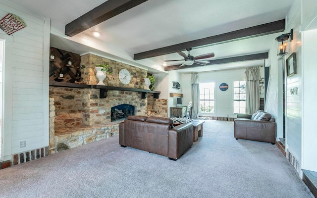 4204 Deer Tract St, Round Rock, TX 78681 - photo 10
