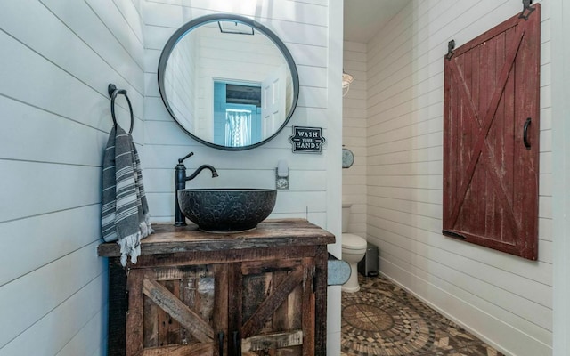 4204 Deer Tract St, Round Rock, TX 78681 - bathroom with vanity and wood walls