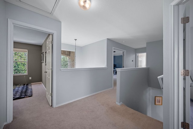 1913 Avante Dr, Cedar Park, TX 78613 - corridor featuring an upstairs landing, carpet floors, and attic access